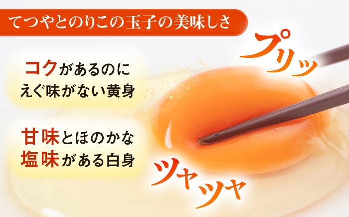 【全6回定期便】てつやとのりこの玉子 【 40個 】 糸島市 / 板垣ファーム 卵 たまご 鶏卵 [AWD021]