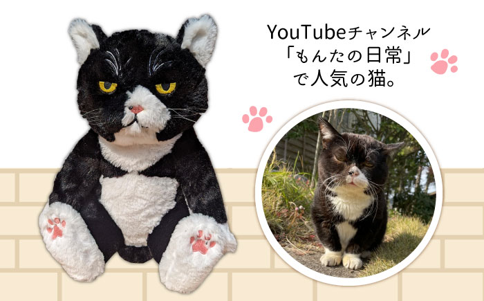 【 SNSで人気の猫 / 糸島観光大使】【 もんた 】 ぬいぐるみ 糸島市 / Basismall 猫 ネコ 観光大使 [AXL001]