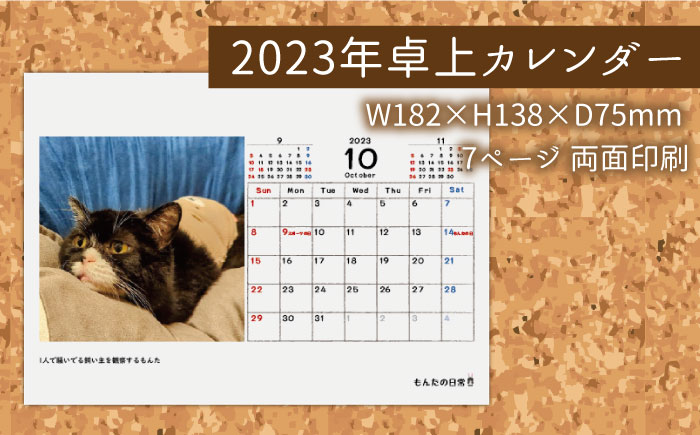 【 SNSで人気の猫 / 糸島観光大使】2023年 「 もんたの日常 」 卓上 カレンダー 糸島市 / Basismall 猫 ネコ 観光大使 [AXL004]