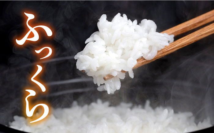 【年内発送】【令和7年産新米】糸島産 ヒノヒカリ 3kg×2袋糸島市 / 平山農園 米 白米 [AXN004] ご飯 お米