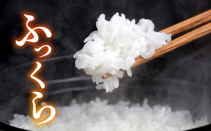 【年内発送】糸島産 ヒノヒカリ 10kg 糸島市 / 平山農園 米 白米 米 白米 ご飯 お米 10kg [AXN006]