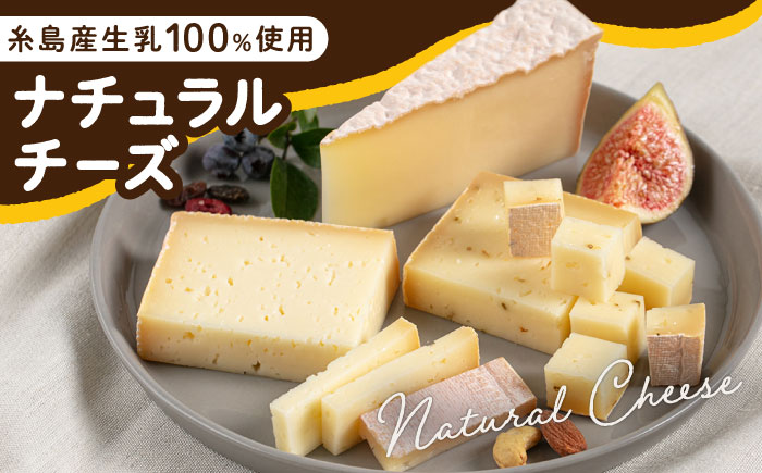 【全3回定期便】 糸島産 生乳 100％ 使用 手作り 熟成 チーズ 5種 食べ比べ セット 糸島市 / 糸島ナチュラルチーズ製造所TAK-タック- [AYC005]