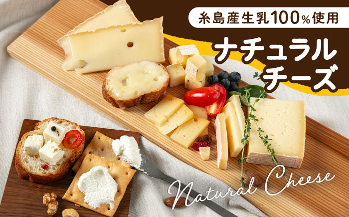 【全6回定期便】糸島産 生乳 100％ 使用 手作り チーズ 充実 7点 セット 糸島市 / 糸島ナチュラルチーズ製造所TAK-タック- [AYC013]