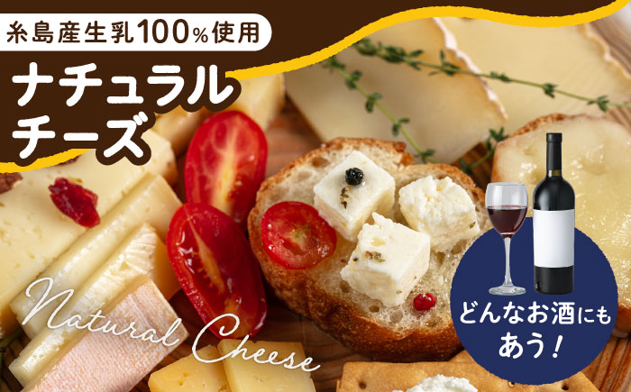 糸島産生乳100％使用 手作り チーズ 4種 TAKセレクト【ワイン】 糸島市 / 糸島ナチュラルチーズ製造所TAK-タック- [AYC015]