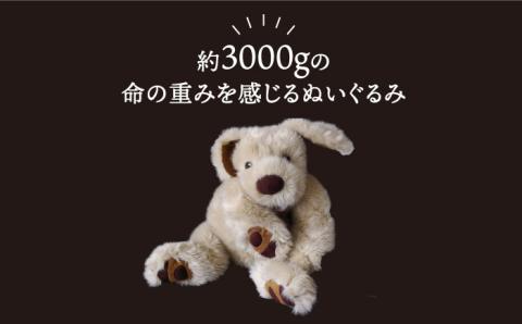 セラピー！？ロボット？「パトラン」（重たいぬいぐるみ）≪糸島市≫【科学工房未來】ぬいぐるみ/セラピー/犬/プレゼント [AYI001]