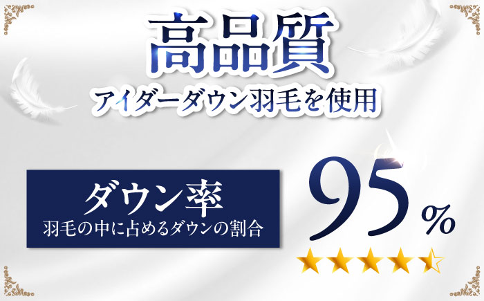 【糸島羽毛ふとん】【アイスランド特別保護鳥使用】【ダブル】 羽毛 布団 本掛け ベージュ アイダーダウン95% 糸島市 / 株式会社三樹 / 布団 羽毛 [AYM025]