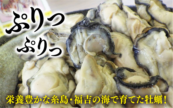 糸島福吉産 蒸し牡蠣 600g（300g×2P） ≪糸島市≫【飛龍丸】牡蛎/カキ [AZB008]