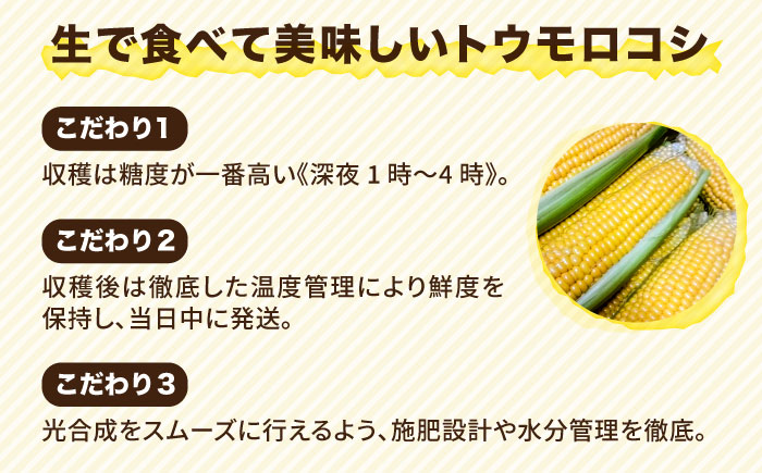 【先行予約】糸島 トウモロコシ 『もきっこ』 黄 （ 10本前後 ） 【2026年6月下旬以降順次発送】《糸島》 【内田農業】 [AZH001]
