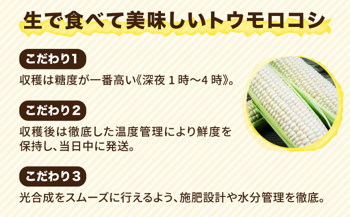 【先行予約】 糸島 トウモロコシ 『もきっこ』 白 （ 10本前後） 【2026年6月下旬以降順次発送】《糸島》 【内田農業】 [AZH002]