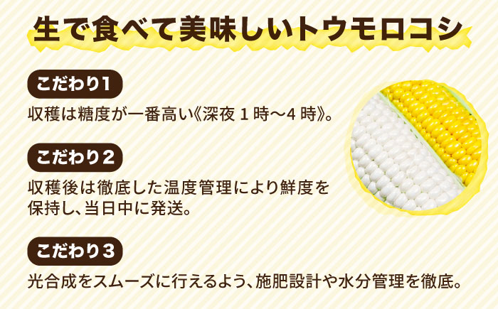 【先行予約】 糸島 トウモロコシ 『もきっこ』 白 黄 ミックス （ 10本前後 ）【2026年6月下旬以降順次発送】 《糸島》 【内田農業】  [AZH003]