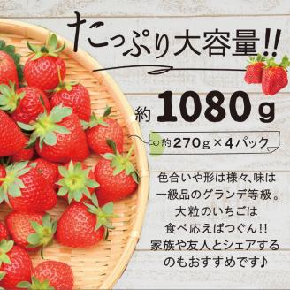 【先行予約】あまおう いちご 1,080g ( 約 270g × 4パック ) 【2026年1月中旬より順次発送】 糸島市 / 株式会社HSP-テクノ [AZL001] グランデ 等級 福岡県