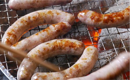 【糸島手造りハム】おすすめギフトセット（2）/ハム/ソーセージ/ウインナー [AAC005]