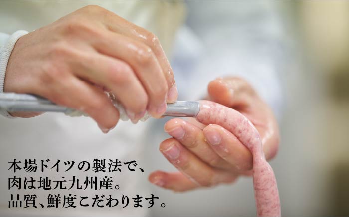 【ANA限定】糸島手造りハム 金賞10種セット《糸島》【糸島手造りハム】 [AAC999]