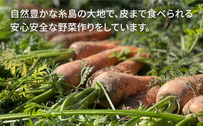 【栽培期間中 農薬不使用！】スイート にんじん 3kg ×1箱 糸島市 / 農香美人 [AAG054] 人参