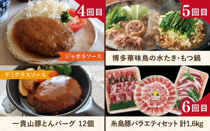 【全12回定期便】肉のお楽しみ定期便 / 15種 食べ比べ セット （ 博多和牛 糸島和牛 糸島豚 はかた地どり イノシシ ウインナー  シャトーブリアン ステーキ ハム ） [AAH009]
