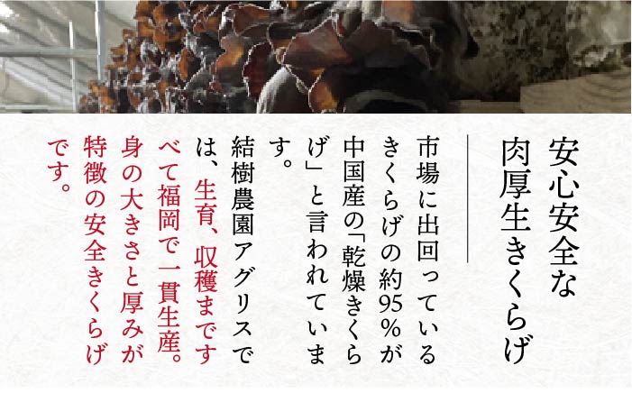 【全3回定期便】結樹農園アグリス めんたいきくらげ300g ≪糸島市≫【結樹農園アグリス】きくらげ/国産/明太/明太子 [AAJ005]