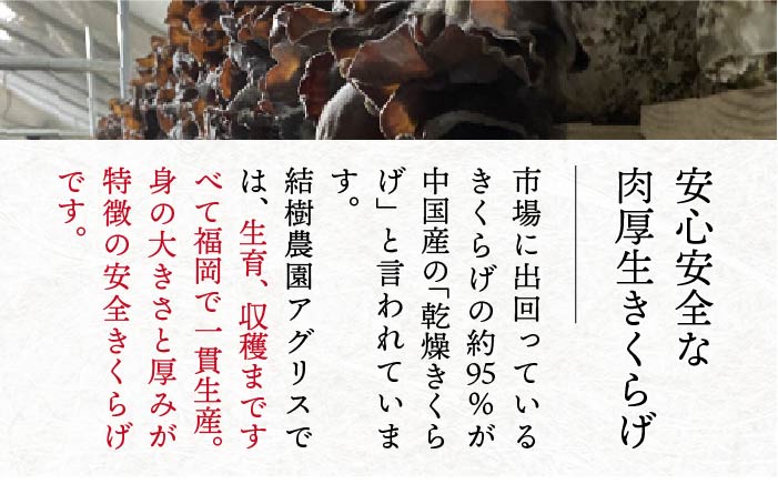 【全3回定期便】結樹農園アグリス めんたいきくらげ300g×3P ≪糸島市≫【結樹農園アグリス】 [AAJ008]