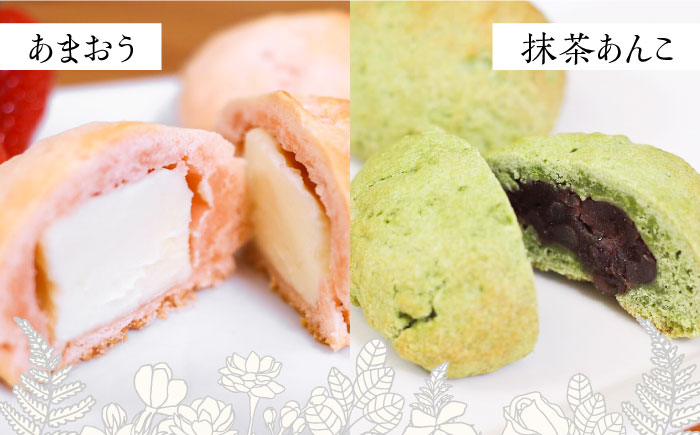 スコーン 食べ比べ 10個 糸島市 / Sweets Cafe egao Itoshima 焼菓子 スイーツ [AAO001]