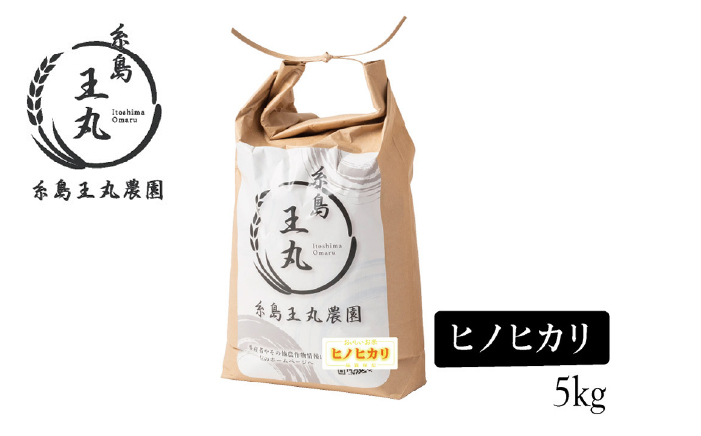 【全6回定期便】糸島産 ヒノヒカリ 5kg×6回 　糸島市 / 糸島王丸農園 ( 谷口汰一 )【いとしまごころ】 [AAZ012]