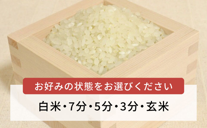 【令和7年産新米】糸島産 ミルキークイーン 5kg 糸島市／糸島王丸農園（ 谷口汰一 ）【いとしまごころ】 米 [AAZ019]