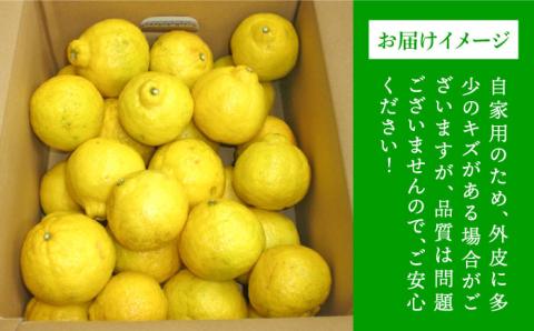 【年内発送】【先行予約】  爽やか に 甘い ！ 糸島産 「 はるか 」  お試し用 約 3kg 【2025年3月より順次発送】二丈赤米産直センター [ABB003]