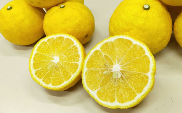 爽やかに甘い！ 糸島産 「はるか」 ジャンボサイズ 約5kg（3L-4Lサイズミックス）糸島市 / 二丈赤米産直センター [ABB031]