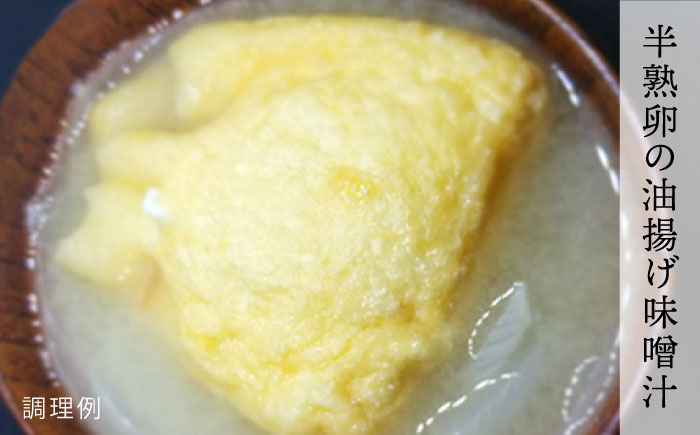 【全3回定期便】【ふるさと納税】簡単！お味噌汁17杯分 糸島鯛液みそ1本 糸島市 / 糸島食品 味噌汁 調味料 味噌 鯛 真鯛 [ABE020]