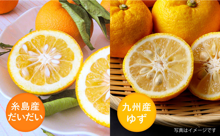 糸島産だいだいとゆずのお酒 500ml×4本セット 糸島市 / 山口食品工業株式会社 [ABI003]