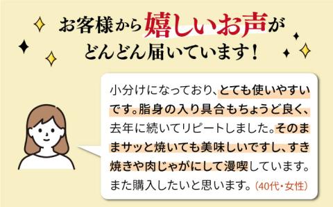 【250gの小分けパック】糸島 黒毛和牛 切り落とし 250g×4P 計1kg もも バラ ミックス A4ランク 糸島市 / 糸島ミートデリ工房 [ACA031] 牛肉 和牛 赤身