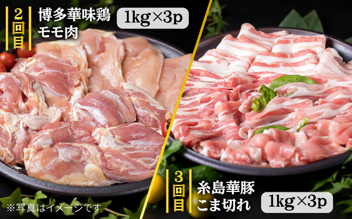 【定期便】家族でたっぷり！ボリューム満載 糸島お肉セット 定期便 全7回 （月1回） 3人用 糸島市 / 糸島ミートデリ工房 [ACA086] 肉セット 精肉セット 肉定期便 定期便肉 定期便おすすめ 定期便月1回