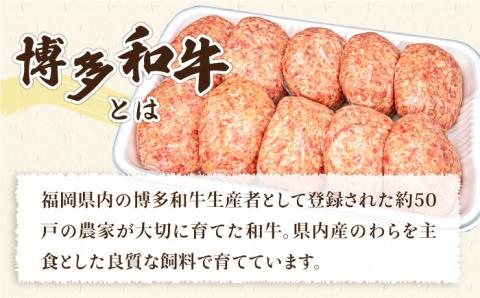 【全3回定期便】A4ランク 博多和牛 入り 特製 生ハンバーグ 150g×10個×3回 計30個 糸島ミートデリ工房 [ACA254]