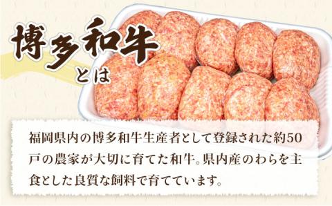 【全6回定期便】A4ランク 博多和牛 入り 特製 生ハンバーグ 150g×10個×6回 計60個 糸島ミートデリ工房 [ACA255]