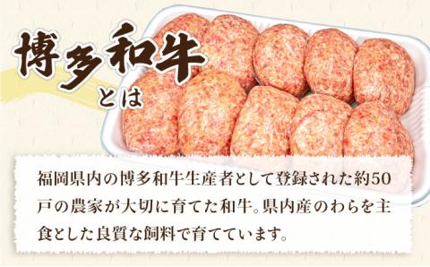 【全12回定期便】A4ランク 博多和牛 入り 特製 生ハンバーグ150g×10個×12回 計120個 糸島ミートデリ工房 [ACA256]