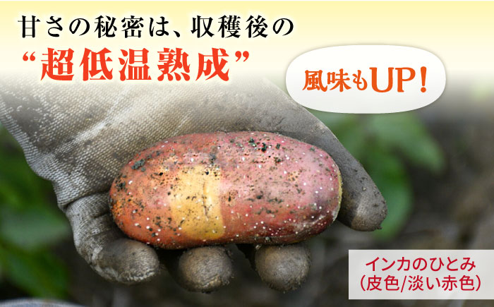 糸島育ちのジャガイモ 2種食べ比べ インカのめざめ インカのひとみ 各5kg・計10kg  糸島市 / 糸島ボンテール農園 [ACO014]