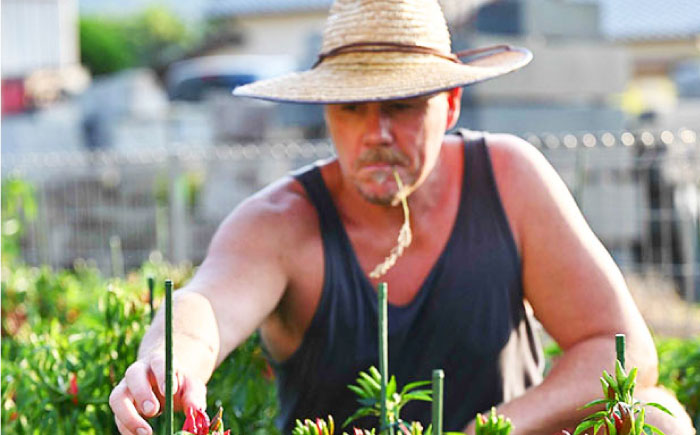 いとペリ ホットソース (ミニ) 50ml×1本 Dan's Kitchen 糸島市 / Mind Nation 唐辛子 辛味ソース [ACR003]