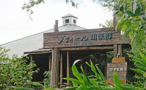 オリジナル ハーブソルト 3本セット 糸島市 / ハーブガーデンプティール倶楽部伊都国 【いとしまごころ】[ACZ003] ハーブ 塩