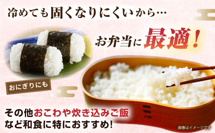 【全12回定期便】ミルキークイーン 5kg 糸島市 / 玄米・精米専門店 新飼宗一郎商店 米 白米 [ADE014]