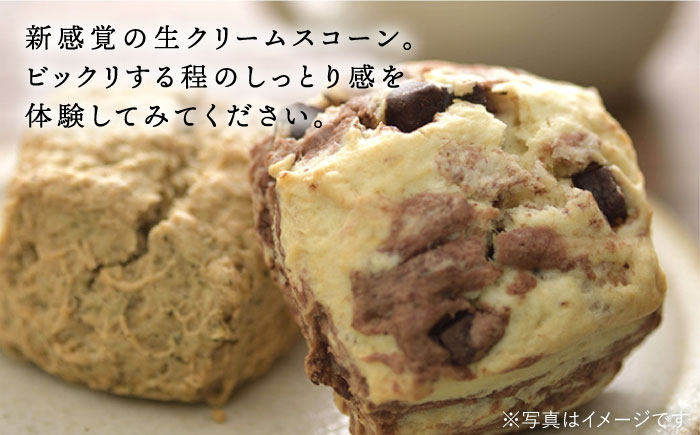 【全12回定期便】【 ご自宅用 】 定番 スコーン + 明太 チーズ スコーン 計 12個 セット 糸島市 / スコーン専門店キナフク [AFA026]