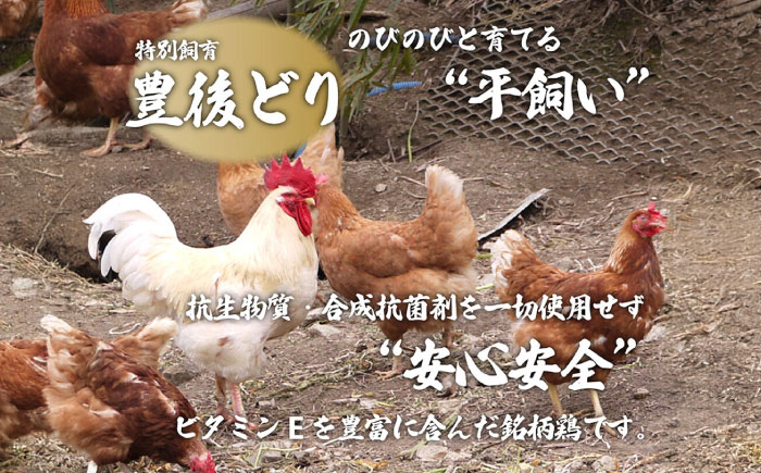 【年内発送】博多 水炊きセット (約2人前) 糸島市 / 博多 浜や 水炊き 鍋 [AFF036]