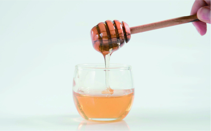 糸島 はちみつ 520g 糸島市 / ヴァンベールフーズ [AFJ002]