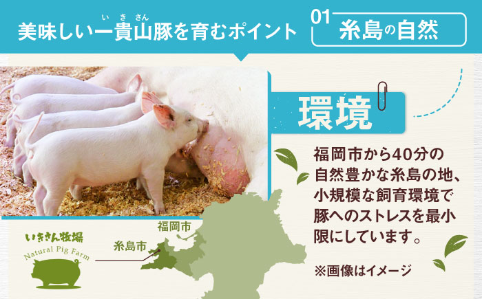 【全3回定期便】一貴山 豚しゃぶ セット糸島市 / いきさん牧場 /鍋 しゃぶしゃぶ 豚しゃぶ 肩ロース ロース つくね バラ 豚バラ [AGB007]