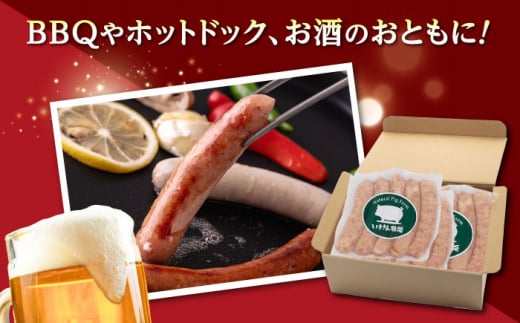 一貴山豚 あらびきフランク 20本(5本×4パック) 糸島市 / いきさん牧場 豚肉　ソーセージ ウインナー [AGB068]