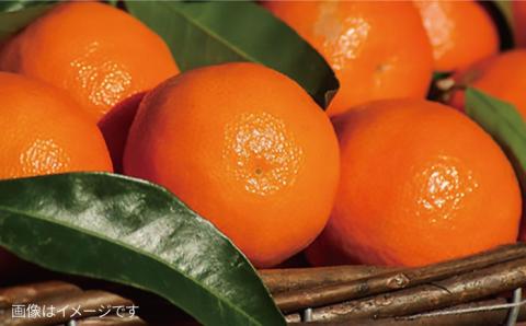 【 全3回 定期便 】 こだわり 野菜  ( 7品 前後 ) セット ＋ 果物 《糸島》【オーガニックナガミツファーム】 	[AGE007]