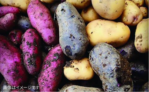 【 全6回 定期便 】 【 福岡県 糸島産 】 朝採れ 野菜 セット ( 8品 前後 )  《糸島》【オーガニックナガミツファーム】 	[AGE009]