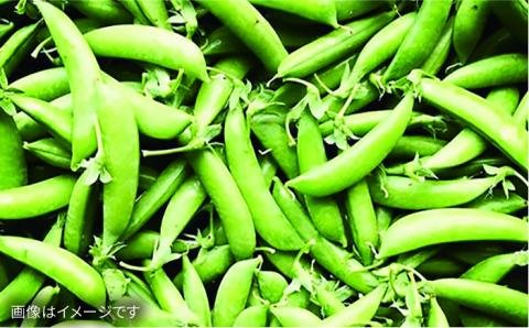 【全12回定期便】【福岡県糸島産】朝採れ 野菜 セット (8品前後) 《糸島》【オーガニックナガミツファーム】        [AGE012]