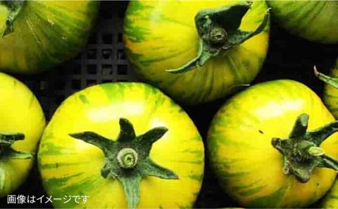 【全12回定期便】こだわり 野菜 （7品前後） セット ＋ 果物 《糸島》【 オーガニックナガミツファーム】	[AGE013]
