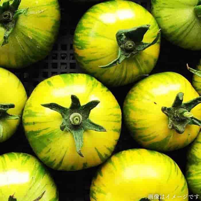 【 栽培期間中農薬 ・ 化学肥料 不使用 】こだわり 高級希少野菜 セット《糸島》【オーガニックナガミツファーム】	[AGE014]