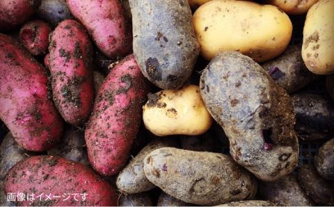 【 全3回 定期便 】 朝採れ 温野菜＆生食野菜セット （ 6品 前後 ） 《糸島》【オーガニックナガミツファーム】 	[AGE019]