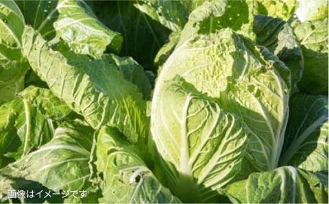 【 全6回 定期便 】【 福岡県 糸島産 】 朝採れ 野菜 セット （ 12品 前後 ） 《糸島》【オーガニックナガミツファーム】 	[AGE025]