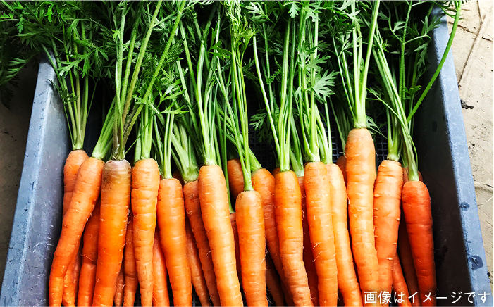 【 糸島 の 福袋 ！ 】朝採り オーガニック 旬 野菜 お任せ 5品 ＋ 糸島産 大ヒット 特産 加工品 2品 のセット《糸島》【オーガニックナガミツファーム】 	[AGE028]